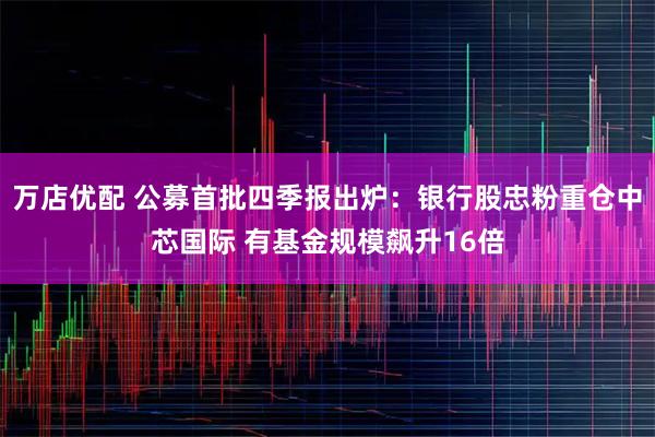 万店优配 公募首批四季报出炉：银行股忠粉重仓中芯国际 有基金规模飙升16倍
