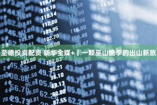 至德投资配资 新华全媒+丨一颗巫山脆李的出山新旅