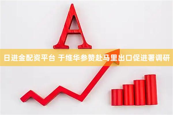 日进金配资平台 于维华参赞赴马里出口促进署调研