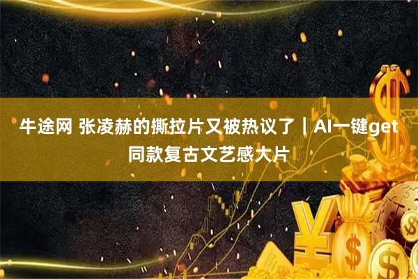 牛途网 张凌赫的撕拉片又被热议了｜AI一键get同款复古文艺感大片